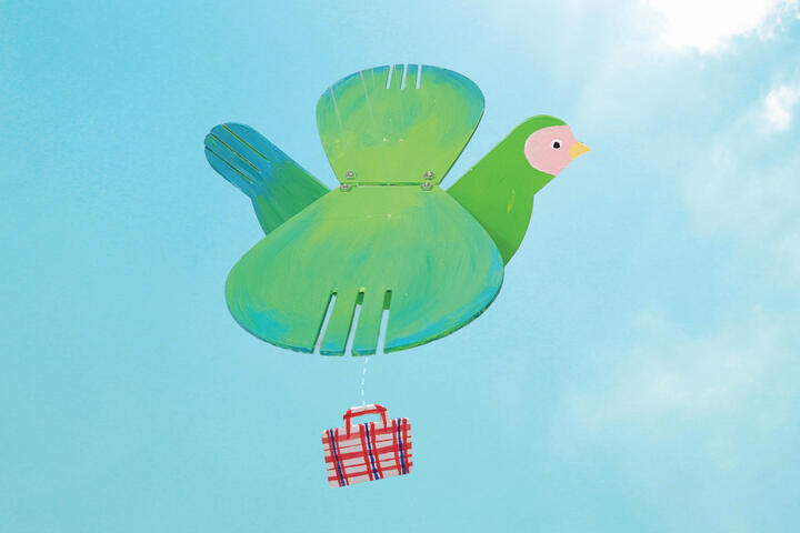 Fly, Bird. Fly! (2022)